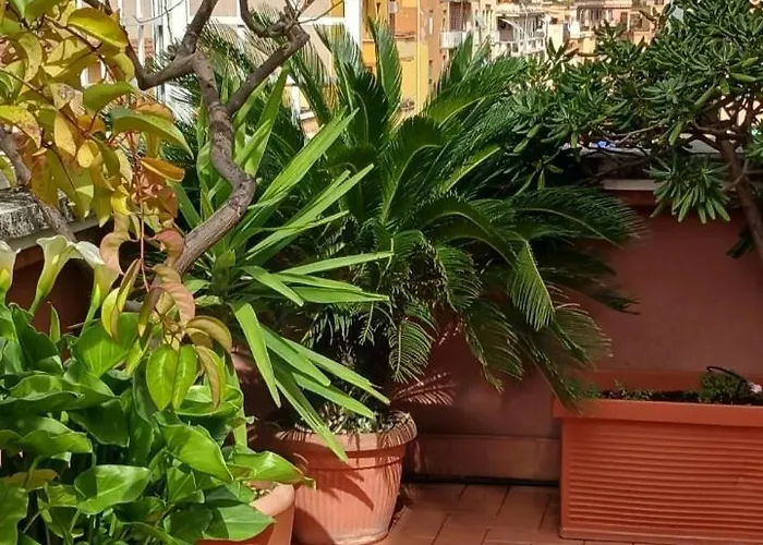Attico Pavia vicino Policlinico