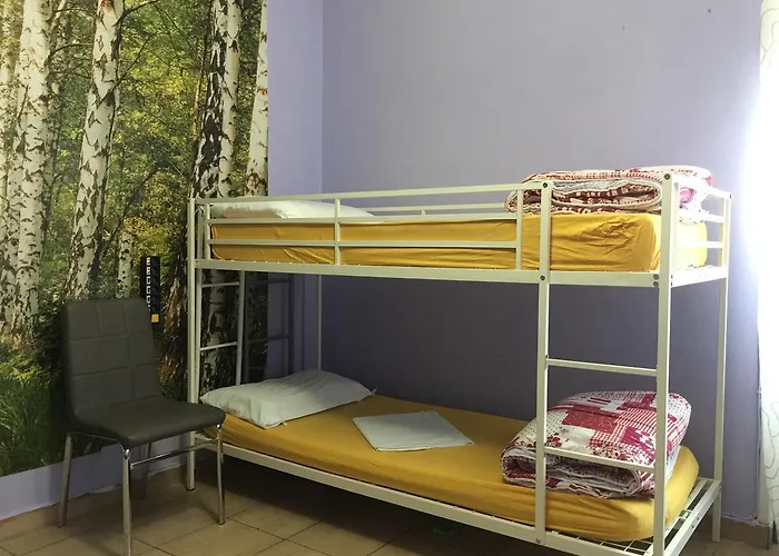 Hotel que admite mascotas: Rome City Hostel